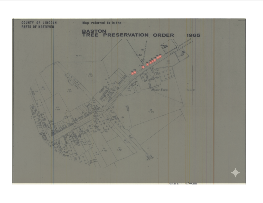 A 1965 map of Baston, Lincolnshire, showing a tree preservation order with marked trees highlighted in red on a detailed survey plan.